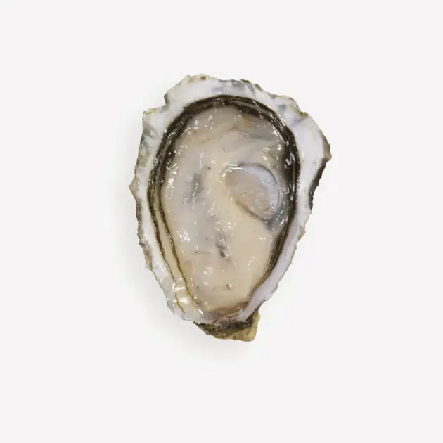 Ostra Blanche (Speciale d'Utah Beach) · FRATINI Ostras de Autor